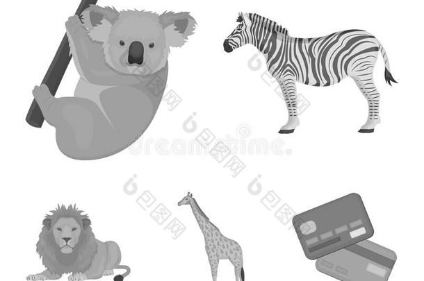 非洲的斑马,动物树袋熊,长颈鹿,野生的以掠夺为生的人,狮子.野生的