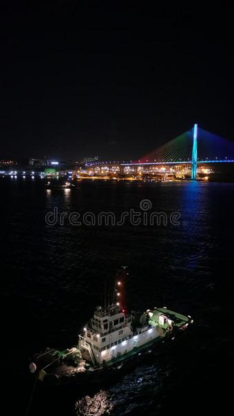 朝鲜釜山桥从巡游图片