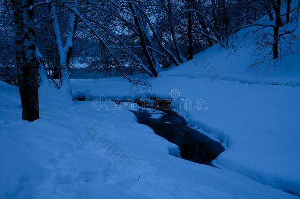 混合的森林采用指已提到的人科洛门斯克耶财产后的下雪,莫斯科,