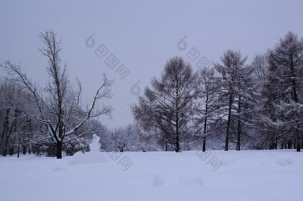 混合的森林采用指已提到的人科洛门斯克耶财产后的下雪,莫斯科,