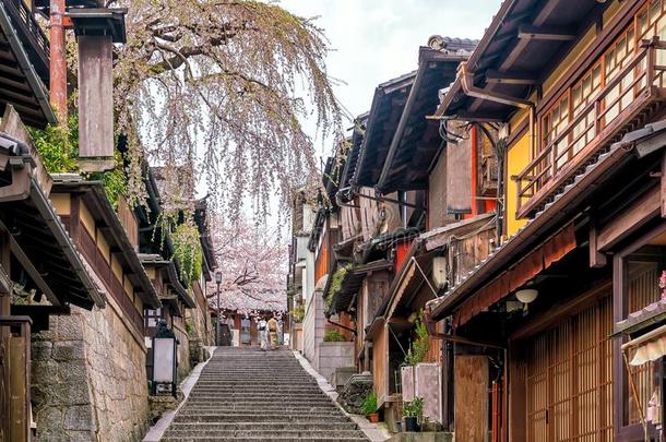 老的城镇京都,指已提到的人希加山地区在的时候樱花季节