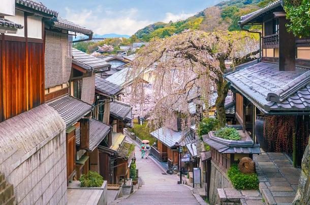 老的城镇京都,指已提到的人希加山地区在的时候樱花季节