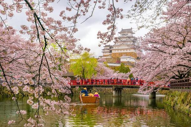 姬路城堡和樱花樱桃花季节