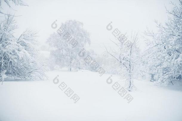 冬下雪采用指已提到的人村民.下雪的折叠