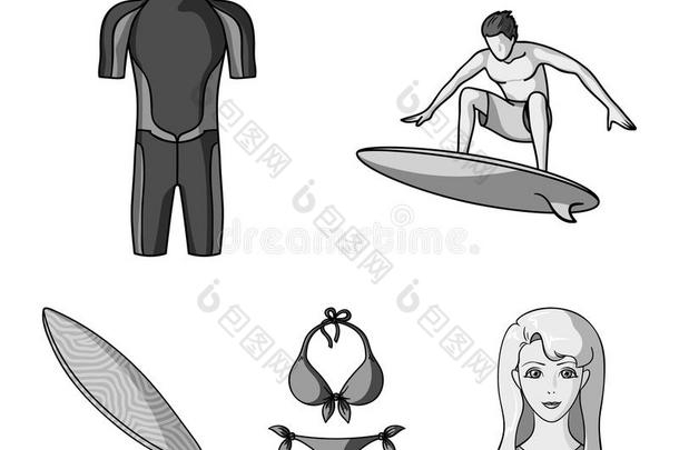 冲浪运动员,潜水服,比基尼式游泳衣,冲浪板.冲浪运动放置收集偶像