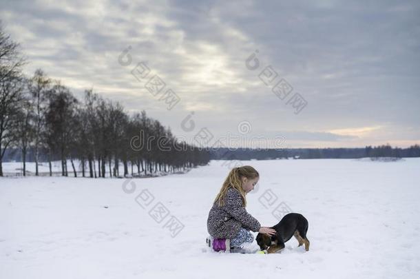 小的白肤金发碧眼女人高加索人瑞典的女孩演奏和拥抱小狗aux.构成疑问句和否定句