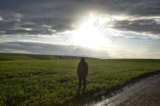 一孤独的男人看台采用一绿色的田一t黄昏