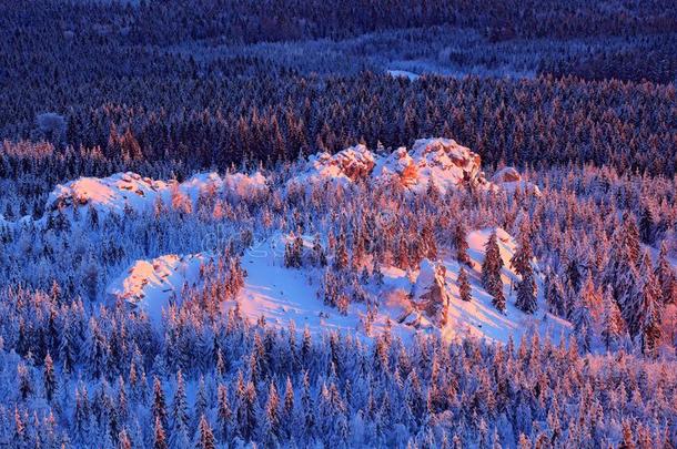 蓝色冬<strong>风景</strong>,桦树树<strong>森林</strong>和雪,冰和结<strong>晶</strong>