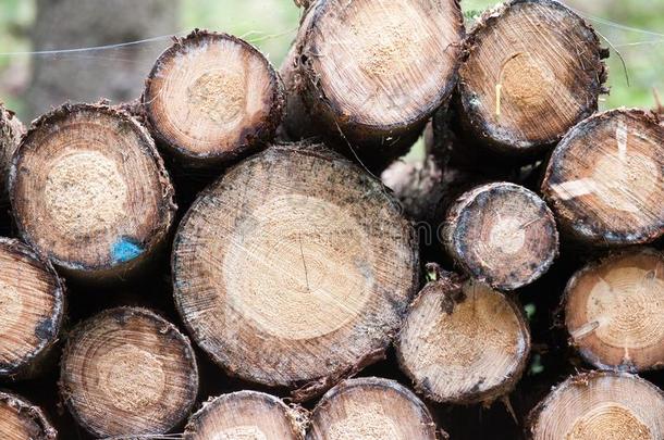 许多不同的大<strong>小生</strong>的松树堆积木材练习用球瓶.在户外贮存