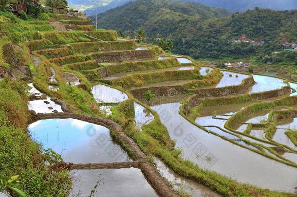 菲律宾稻台阶