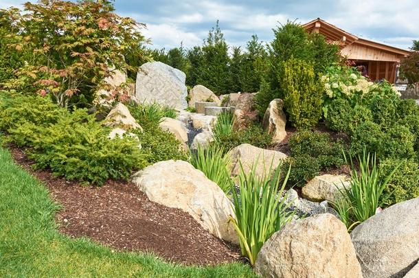一花园和大大地石头和松类的植物向指已提到的人斜坡