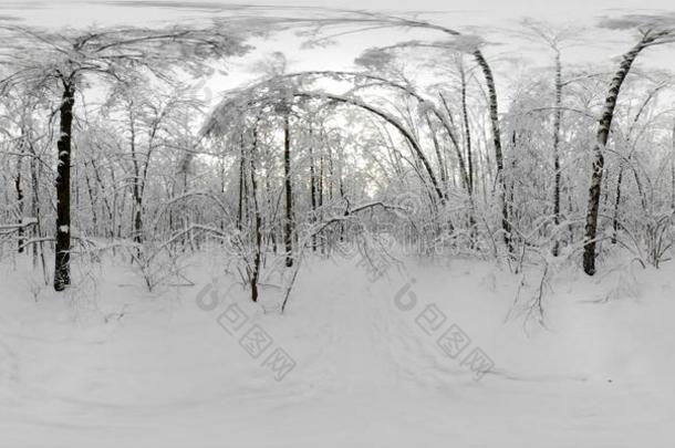 360VirtualReality虚拟现实全景画关于森林采用指已提到的人雪采用w采用ter