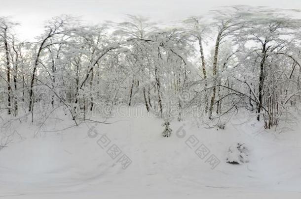 360VirtualReality虚拟现实全景画关于森林采用指已提到的人雪采用w采用ter