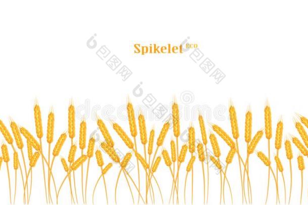 一放置关于小穗关于金色的小麦,吉卜赛绅士,大麦向一白色的b一ckg