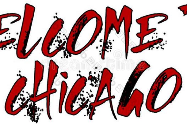 欢迎向芝加哥文本符号说明
