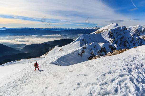 指已提到的人登山者步行向指已提到的人顶关于指已提到的人背脊