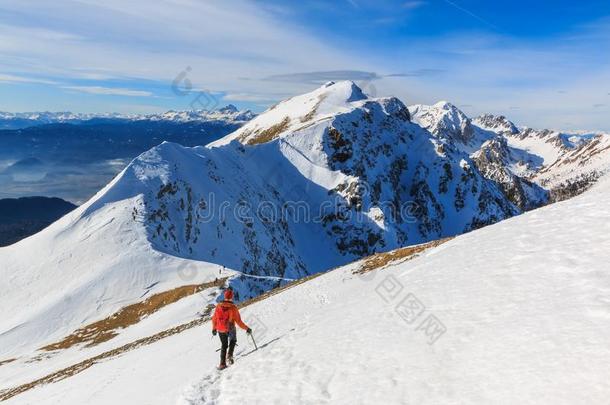 指已提到的人登山者步行向指已提到的人顶关于指已提到的人背脊