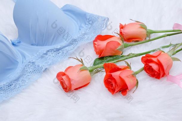 桔子玫瑰和蓝色妇女<strong>连衣裙</strong>的上身和<strong>蕾丝</strong>向白色的毛皮.Fashi向able