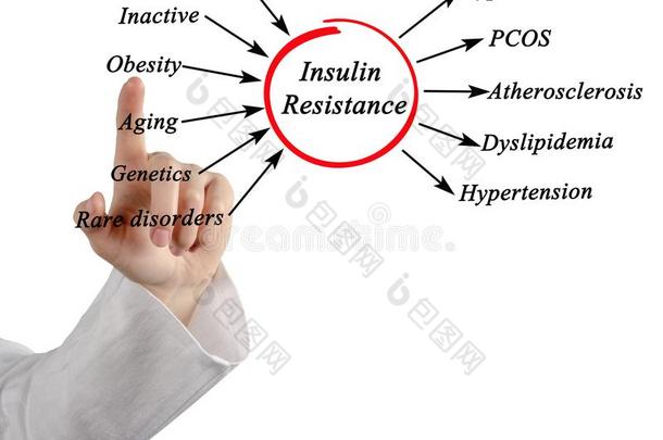 原因关于胰岛素抵抗