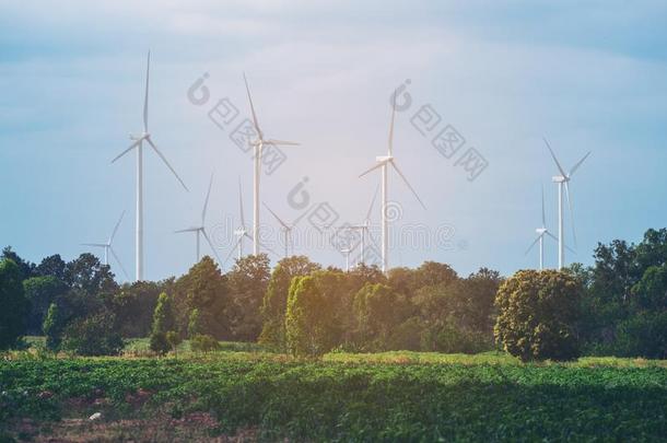 风涡轮机农场,风能量观念.