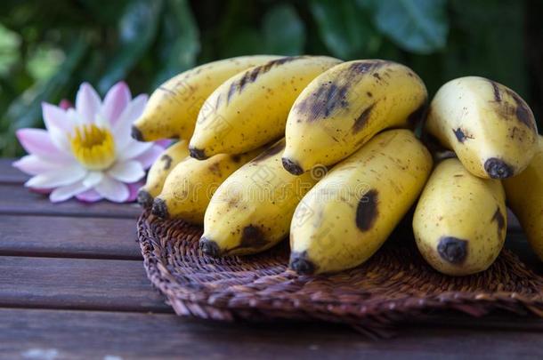 黄色的耕种的香蕉,生的有机的黄色的婴儿香蕉采用一英语字母表的第2个字母