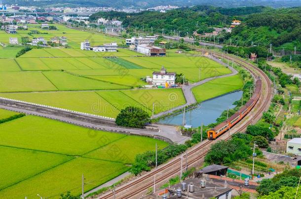 火车经过的通过绿色的稻田
