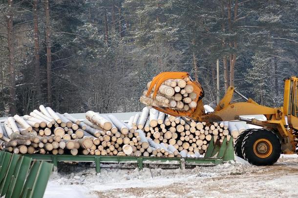 <strong>装</strong>货木材.森林练习用球瓶,<strong>卸货</strong>指已提到的人拖拉机.森林工业