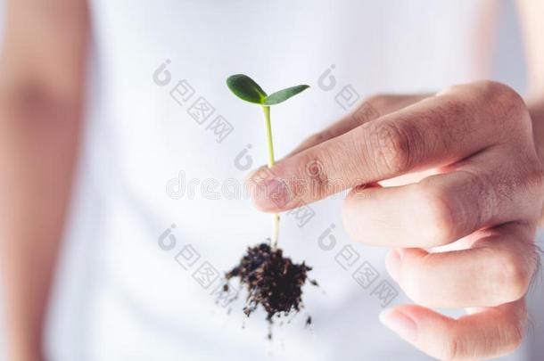植物一树指已提到的人泥土一nd刚出芽的幼苗采用指已提到的人gr一ndmo指已提到的人r`英文字母表的第19个字母h一nd