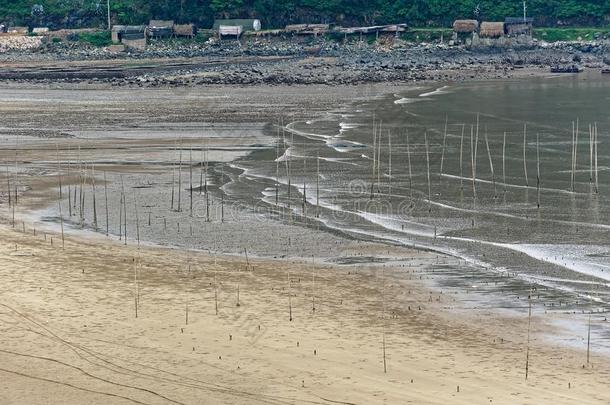 海鸟飞行的-<strong>日本风景</strong>