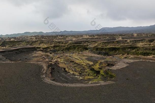 道路向火山口本鲍。,安布里姆岛岛火山的喷火山口,马拉帕PuertoRico波多黎各