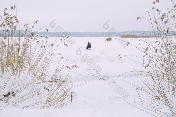 冷冻的湖,雪和寒冷的天气.拉脱维亚,旅行照片.