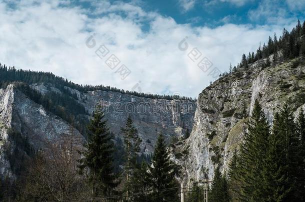 指已提到的人顶关于低的石头山采用森林.