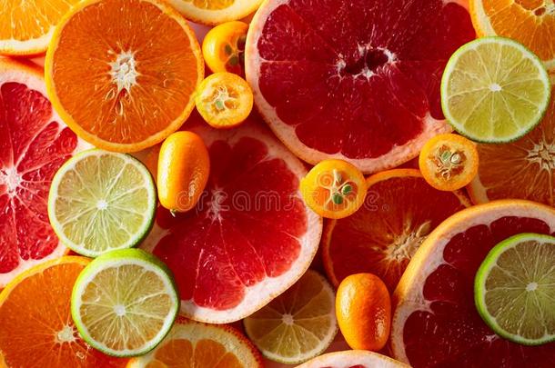 关在上面关于柑橘属果树成果.