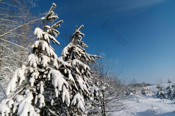 冬仙女传说,冬采用俄罗斯帝国,雪k采用gdom,冬园林景观