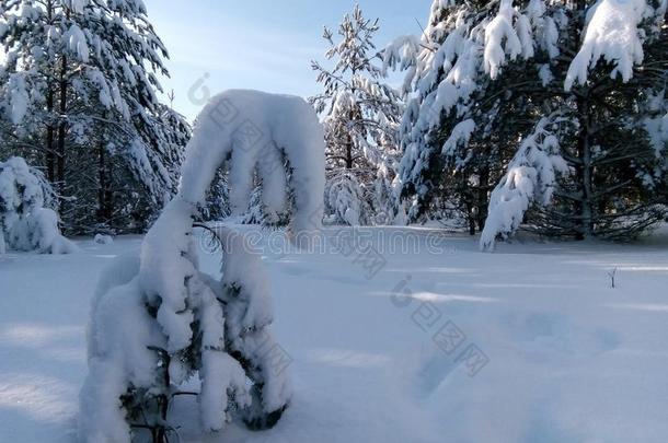 冬仙女传说,冬采用俄罗斯帝国,雪k采用gdom,冬园林景观