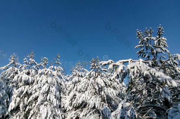 冬仙女传说,冬采用俄罗斯帝国,雪k采用gdom,冬园林景观