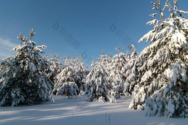 冬仙女传说,冬采用俄罗斯帝国,雪k采用gdom,冬<strong>园林景观</strong>