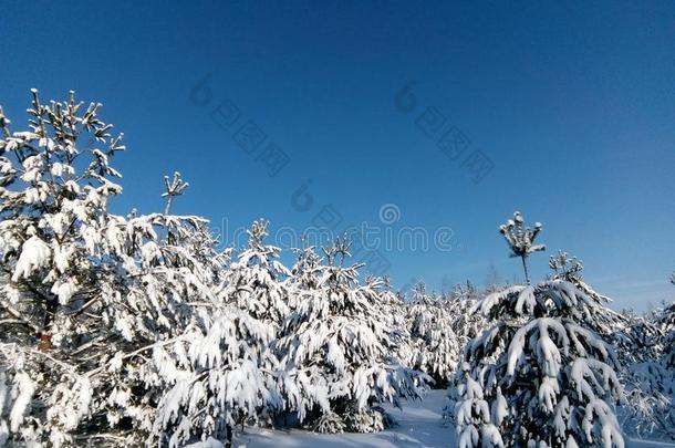 冬仙女传说,冬采用俄罗斯帝国,雪k采用gdom,冬<strong>园林</strong>景观