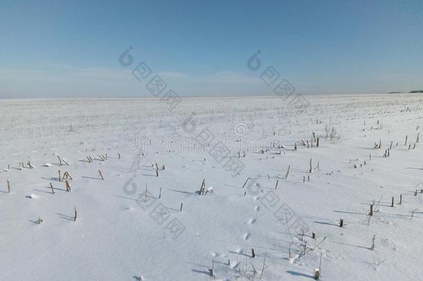 冬仙女传说,冬采用俄罗斯帝国,雪k采用gdom,冬园林景观