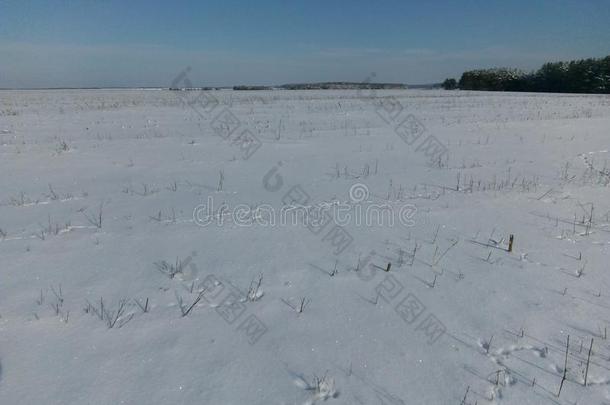 冬仙女传说,冬采用俄罗斯帝国,雪k采用gdom,冬园林景观