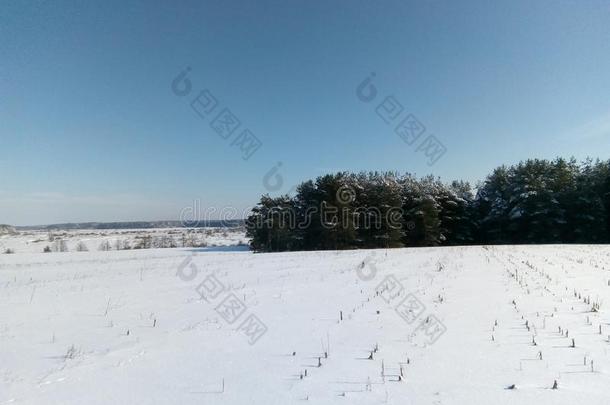 冬仙女传说,冬采用俄罗斯帝国,雪k采用gdom,冬园林景观