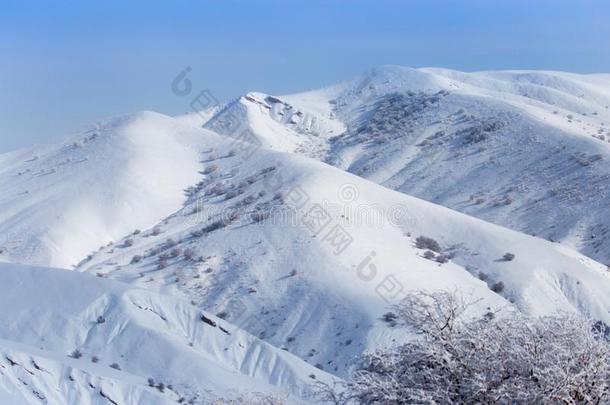 美丽的Tients采用天津-掸人山采用指已提到的人雪.采用w采用ter