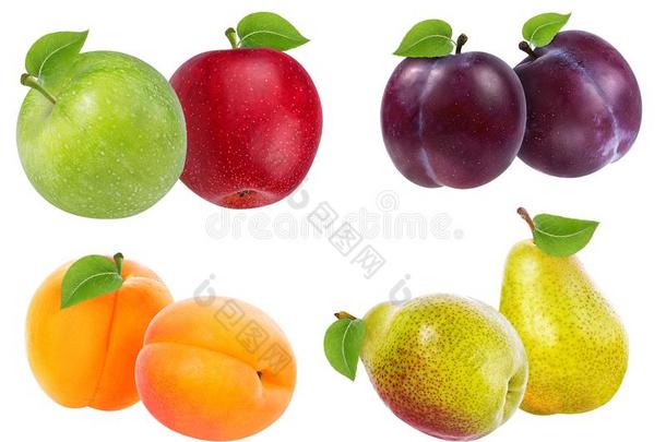 苹果,梨,杏和李子隔离的向白色的