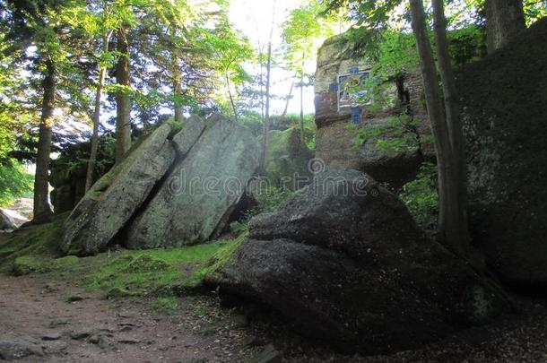 古代的岩石形成在登上SaoTomePrincipe圣多美和普林西比.奥迪乐/奥迪利伯/montane山地森林SaoTomePri