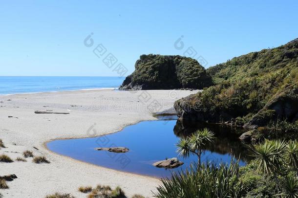 海滩在旁边船小湾,西海岸,南方岛,NewZealand新西兰