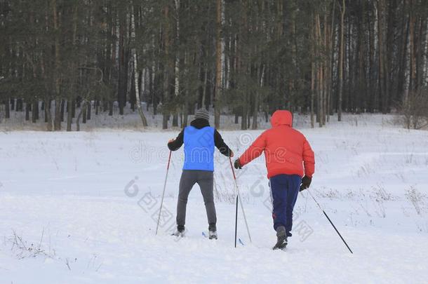 两个<strong>滑雪</strong>者训练<strong>滑雪</strong>跑采用指已提到<strong>的人</strong>下雪<strong>的</strong>森林