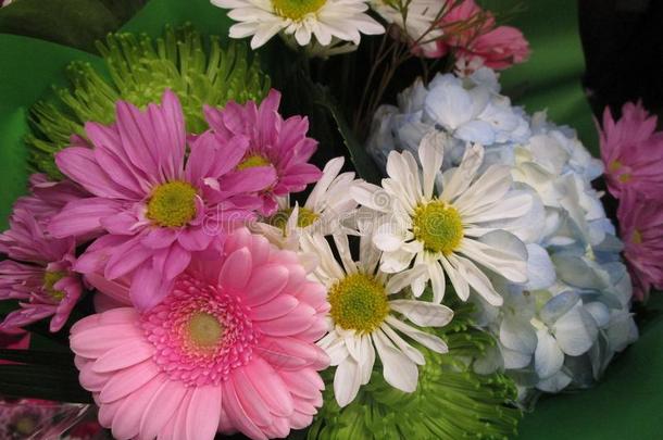 新鲜的和有魅力的混合的花束花从指已提到的人花商