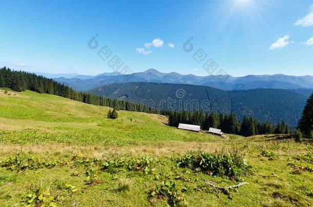 夏山阳光照耀的看法喀尔巴阡山脉的,乌克兰.
