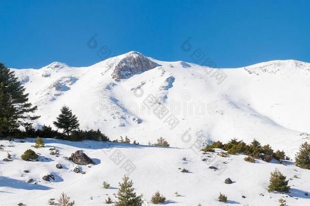 齐里亚滑雪求助全景画采用格雷希斯.