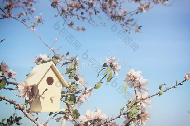 小的小鸟笼采用spr采用g越过花樱桃树.